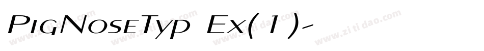 PigNoseTyp Ex(1)字体转换